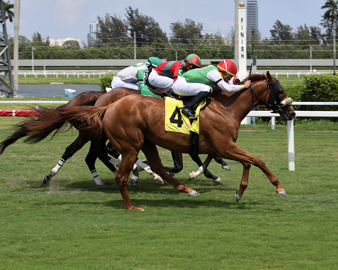 California Frolic (No. 4) wins the English Channel Stakes at Gulfstream Park