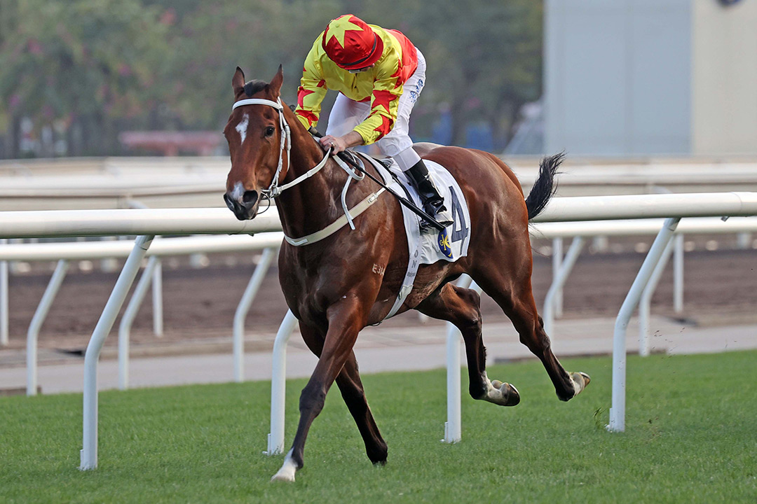 California Spangle wins the Class 2 Chak On Handicap at Sha Tin Racecourse