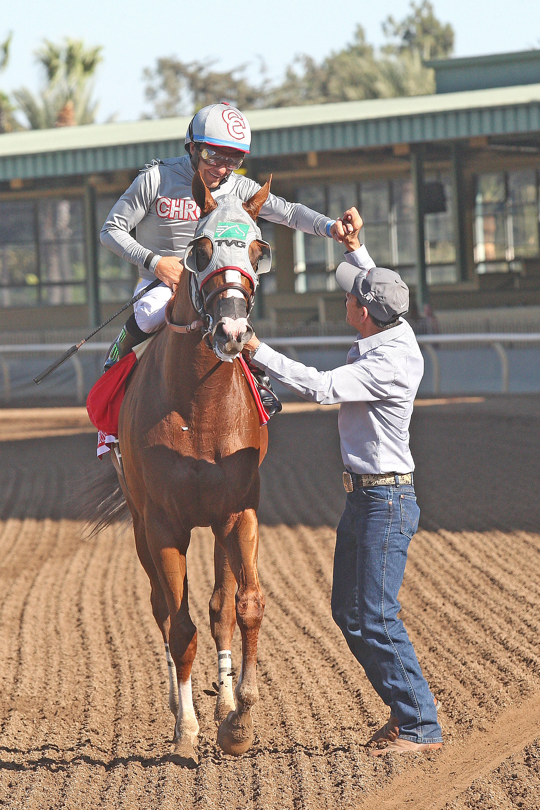 California Chrome 10-01-16