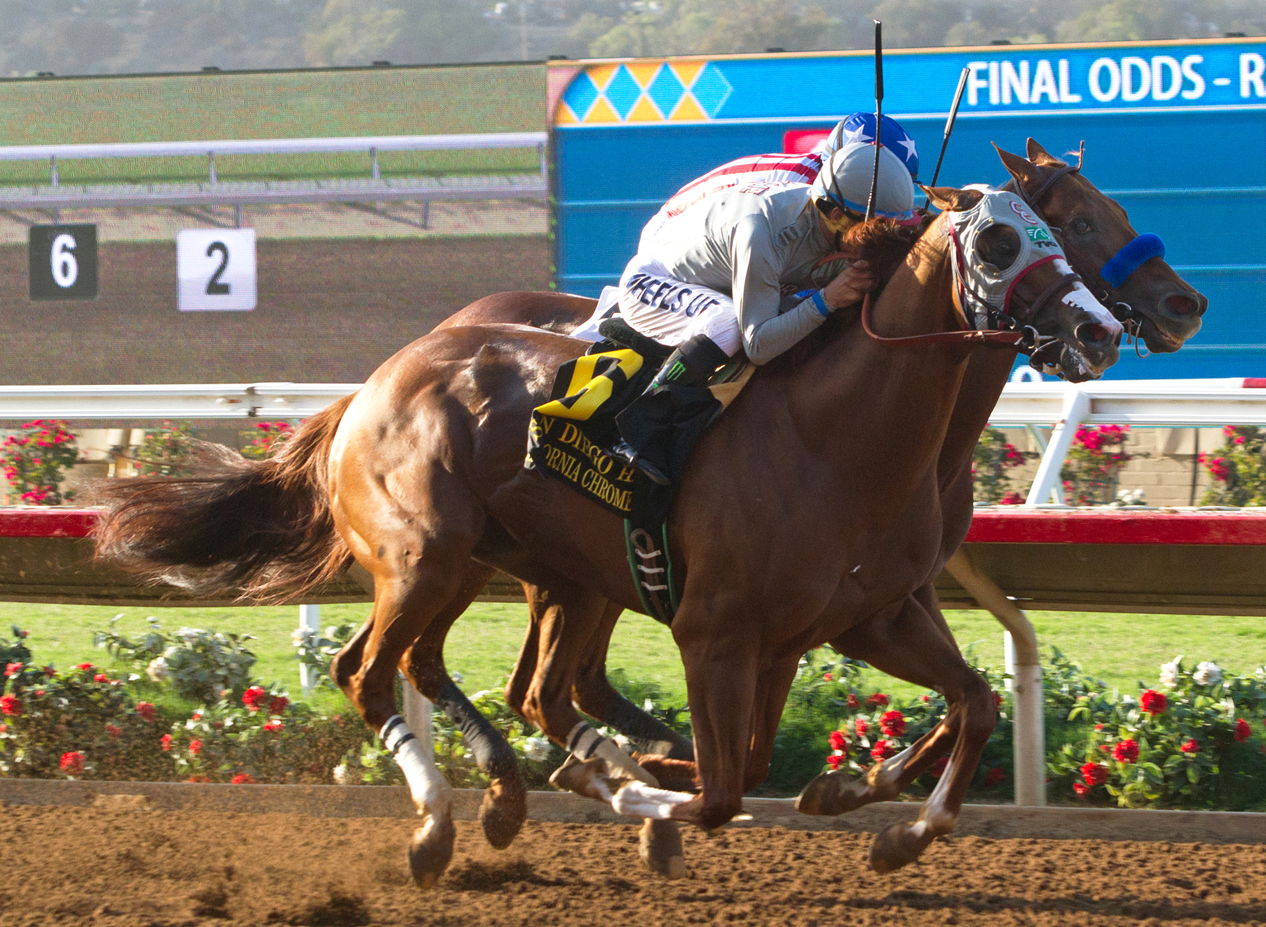 California Chrome/Dortmund 7-23-2016