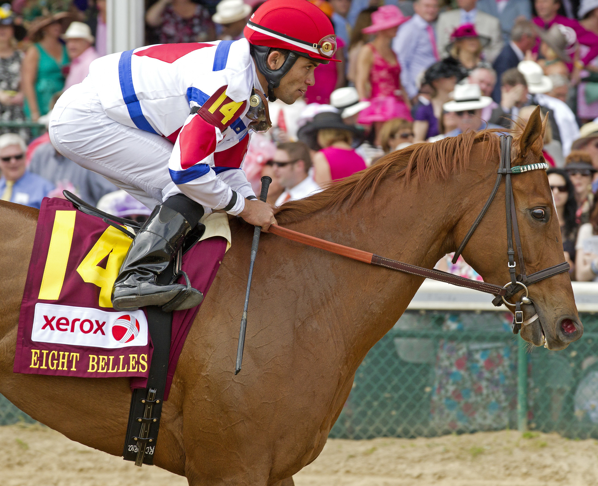 Calistoga finishes fourth in the Eight Belles Stakes