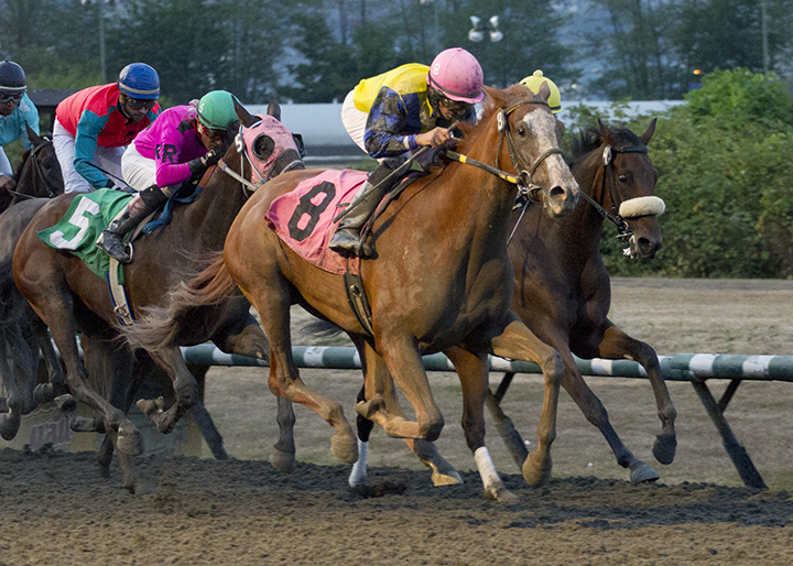 Call It a Wrap wins the 2018 CTHS Sales Stakes