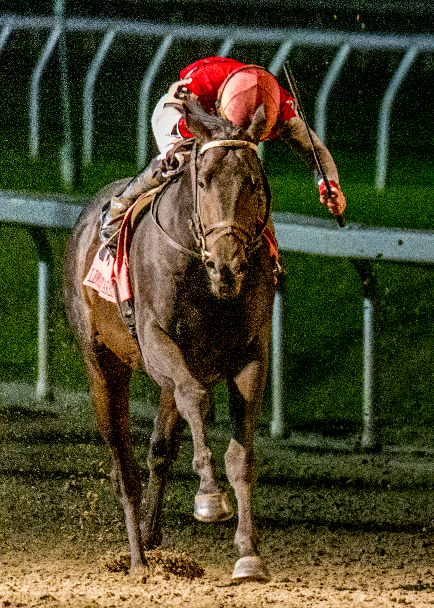 Call Me Midnight wins Lecomte 1-22-2022