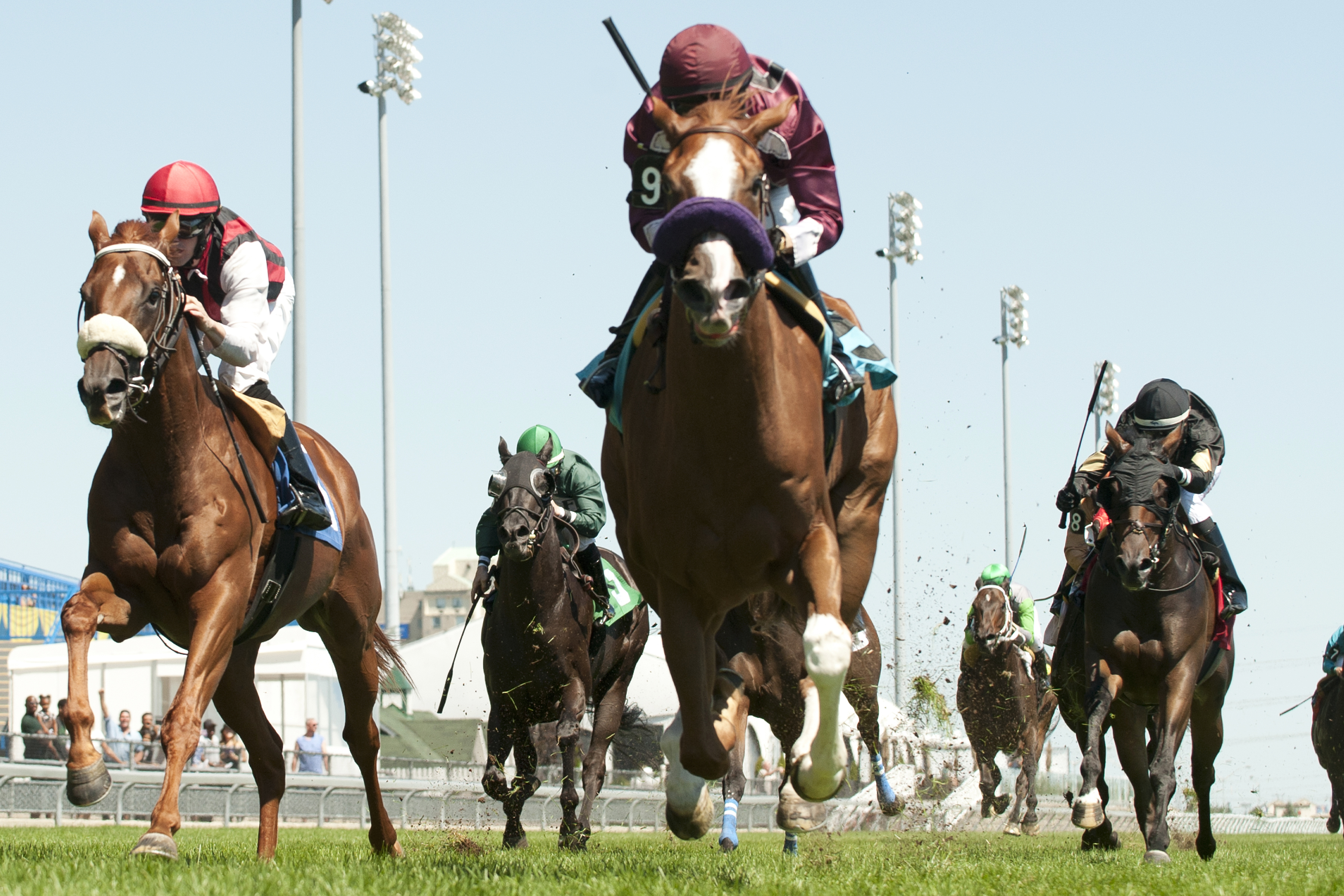 Call Me Wally wins an allowance race on Aug. 9, 2015