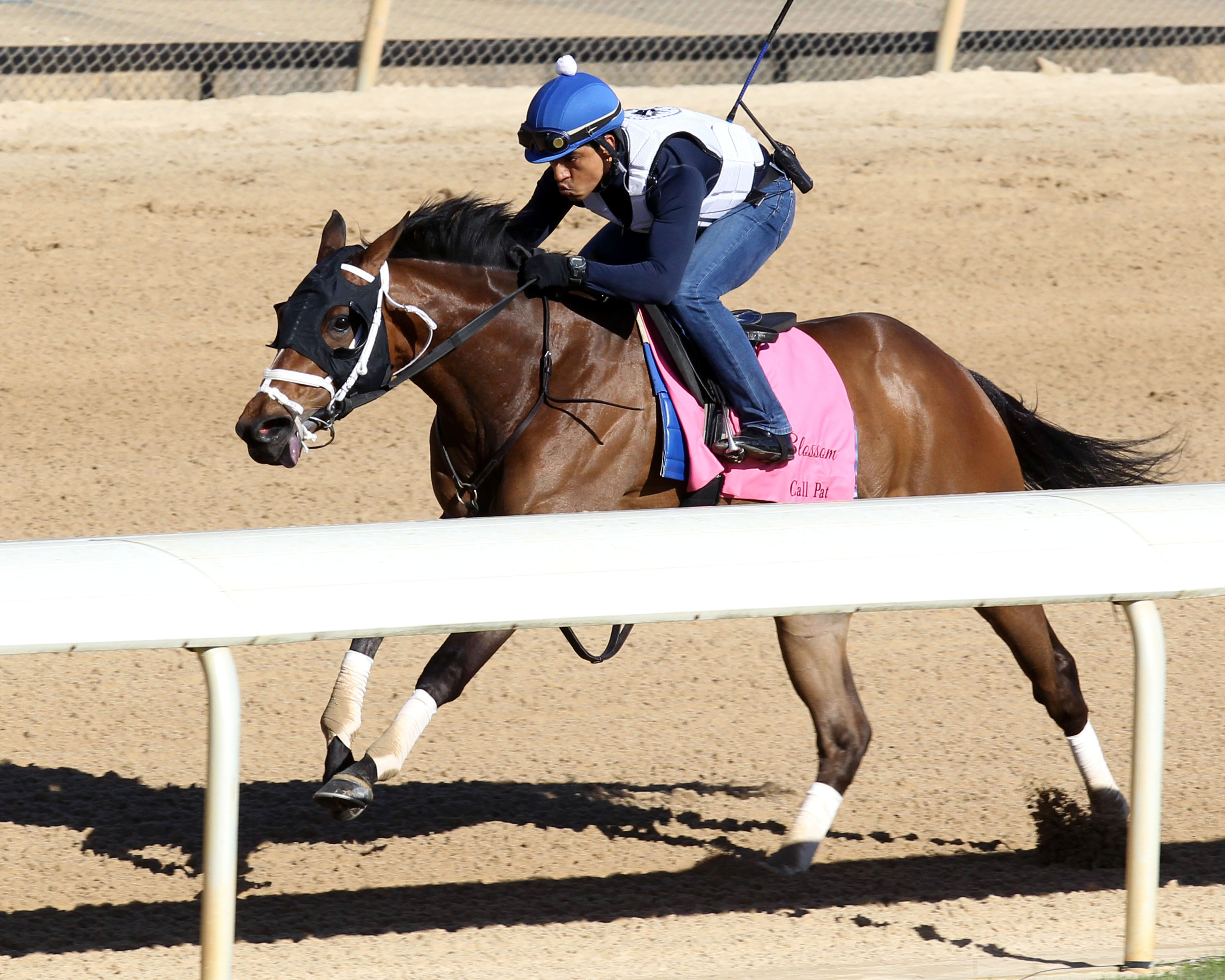 Call Pat trains at Oaklawn on April 8