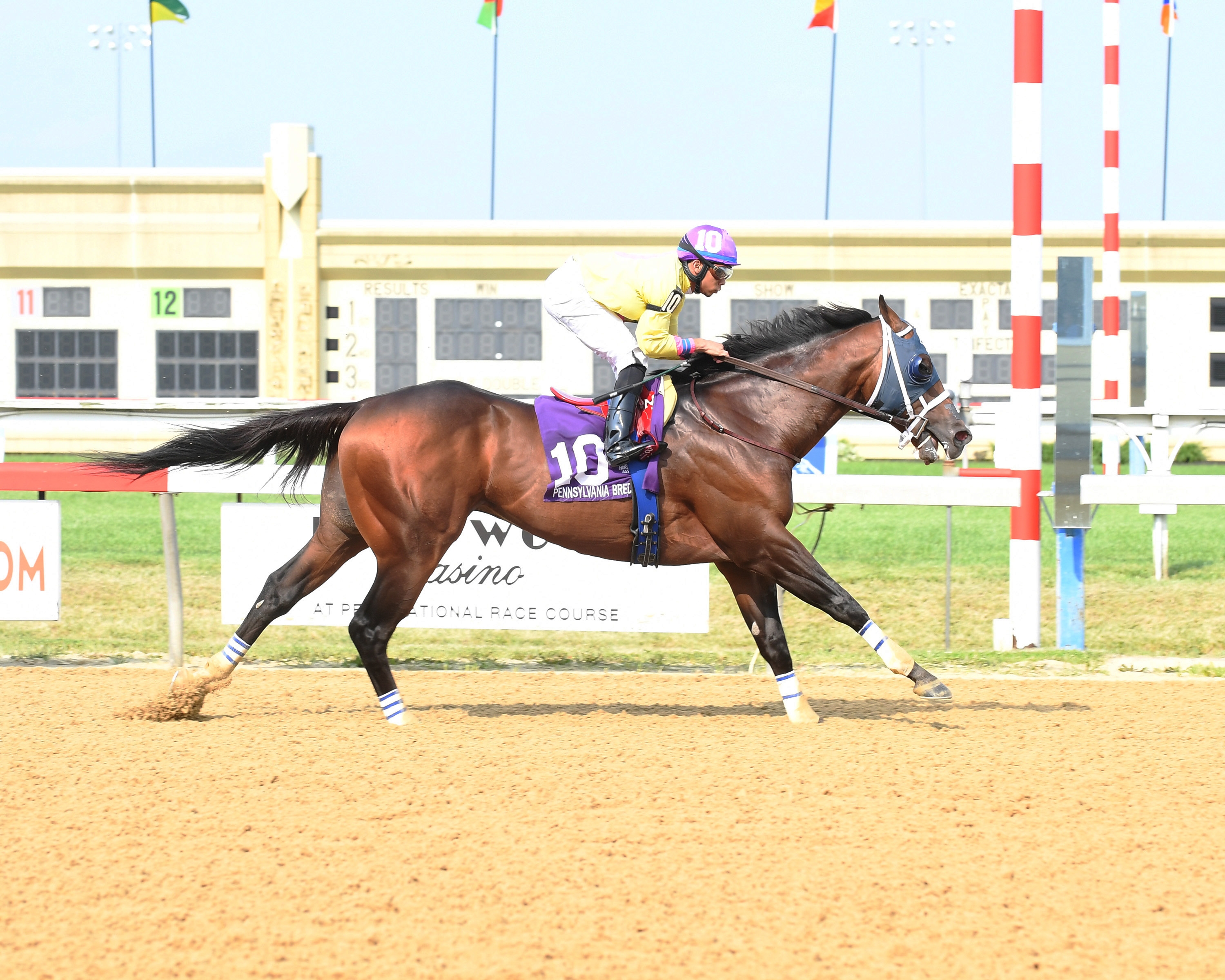 Call Paul wins the 2019 Danzig Stakes at Penn National