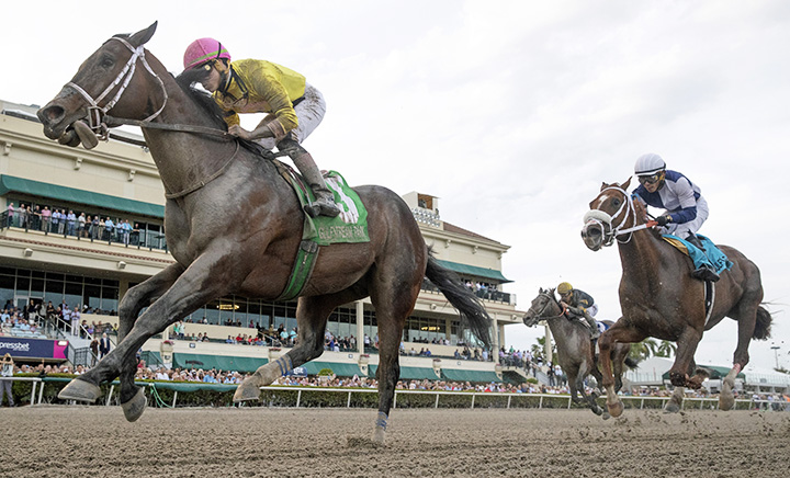 Call Paul wins the 2019 Swale Stakes