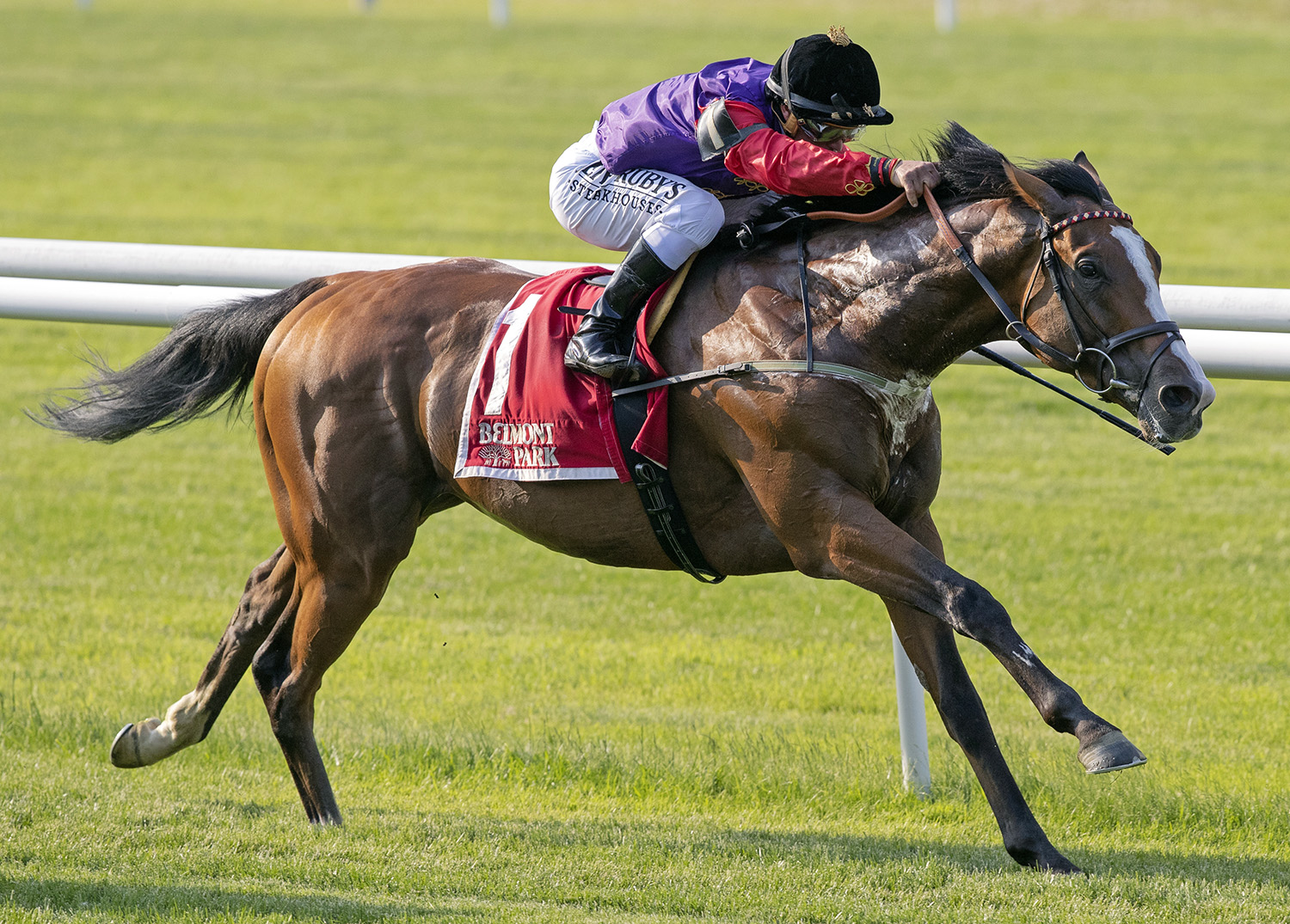 Call To Mind wins the 2018 Belmont Gold Cup