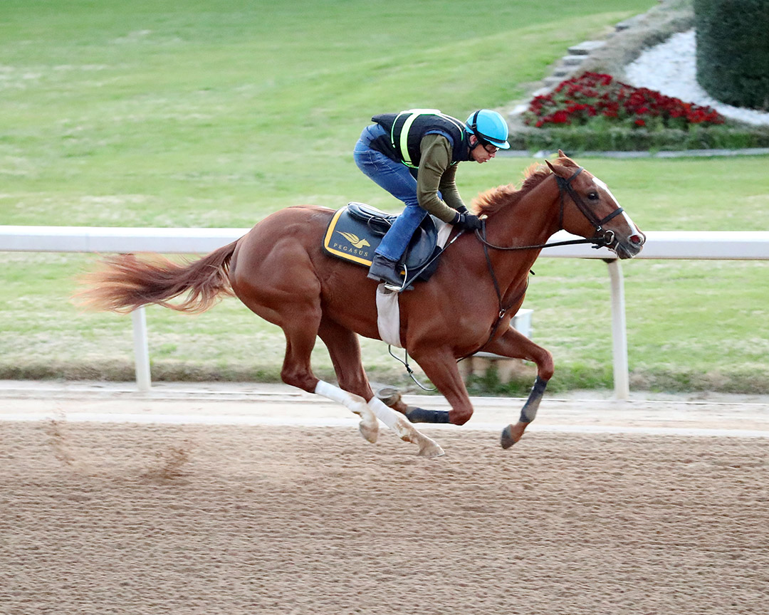 Call Me Jamal trains at Oaklawn on March 27