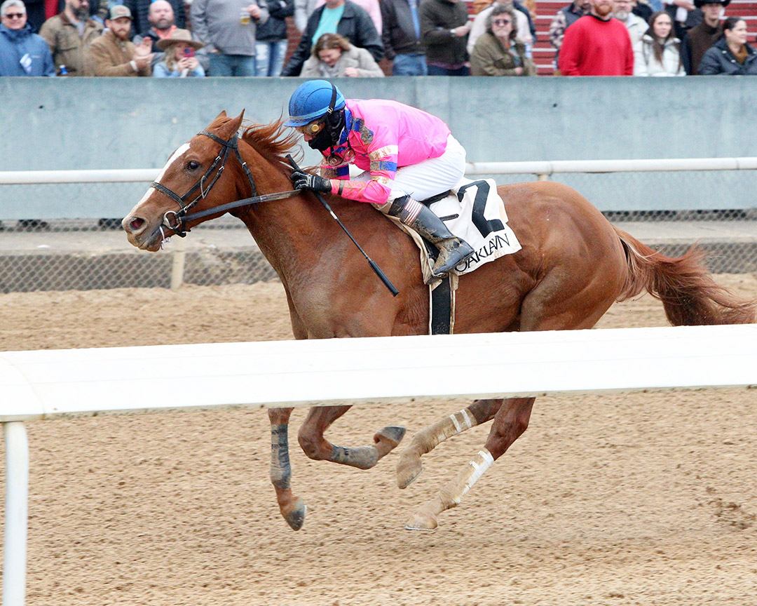 Call Me Jamal wins a Feb. 26 allowance at Oaklawn Park