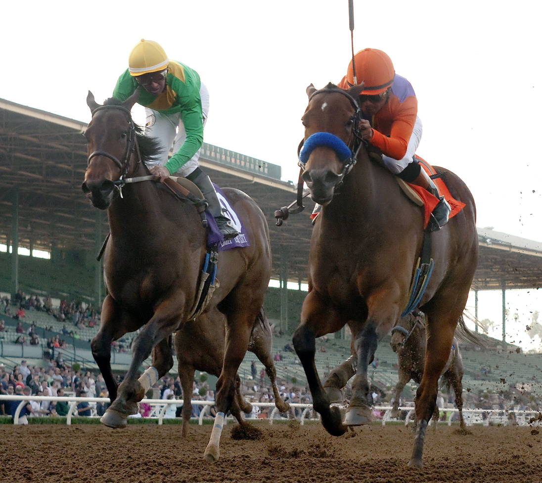 Light the City finishes second to Callback in the Las Virgenes