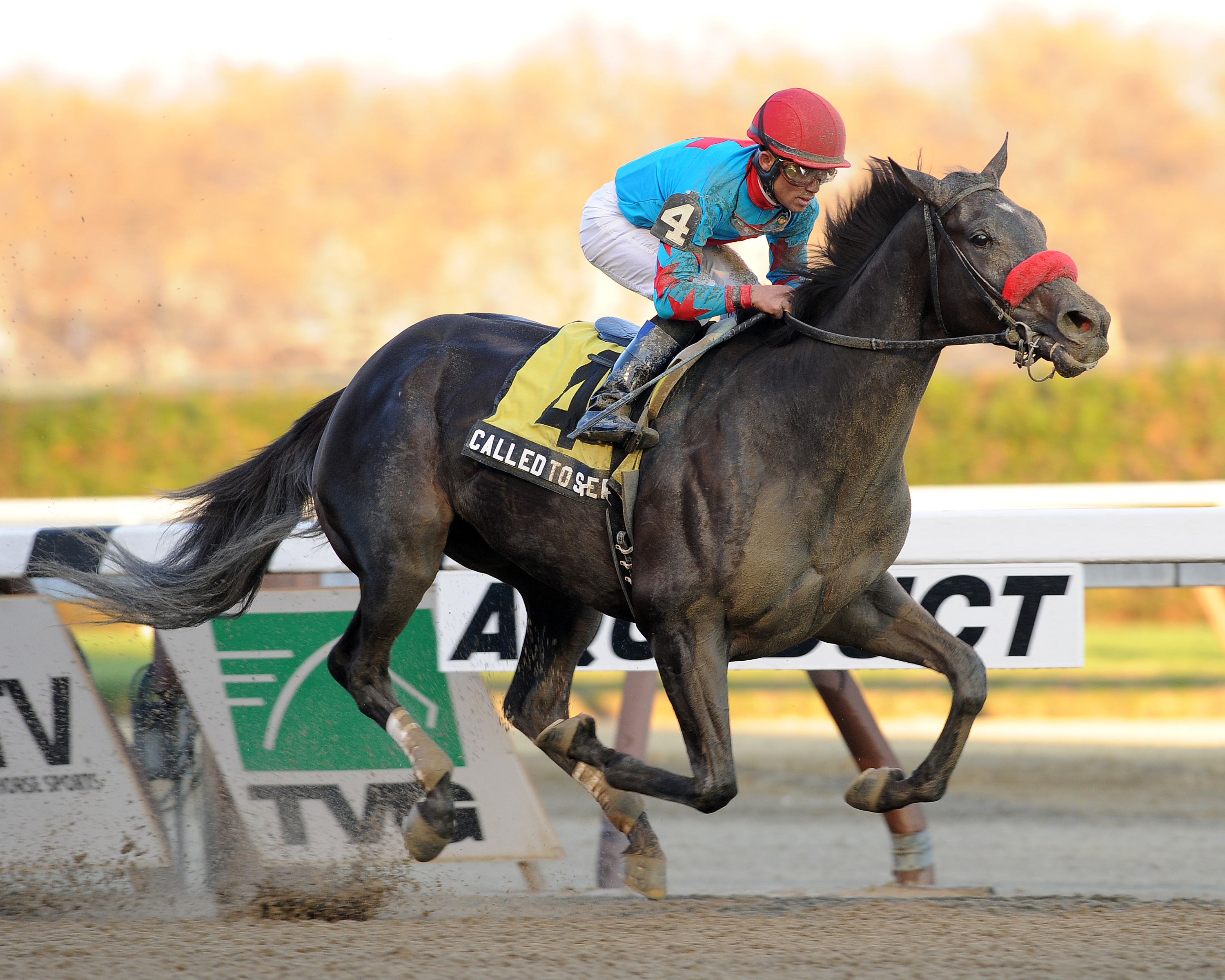 Called to Serve, Discovery Handicap