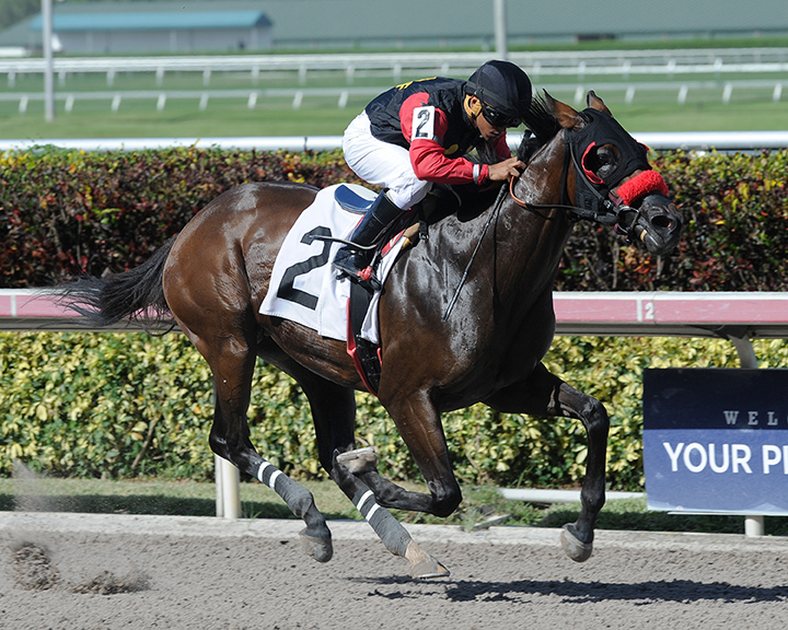 Callie California wins a July 17 maiden race