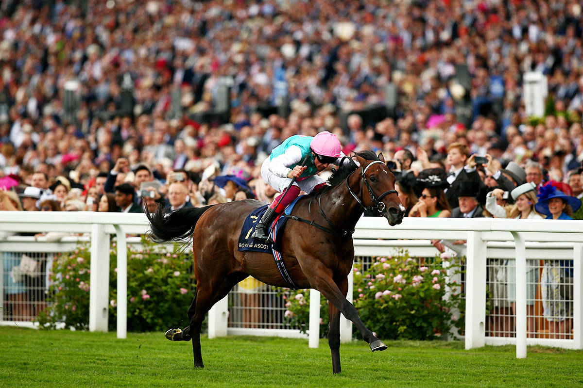 Calyx wins the 2018 Coventry Stakes