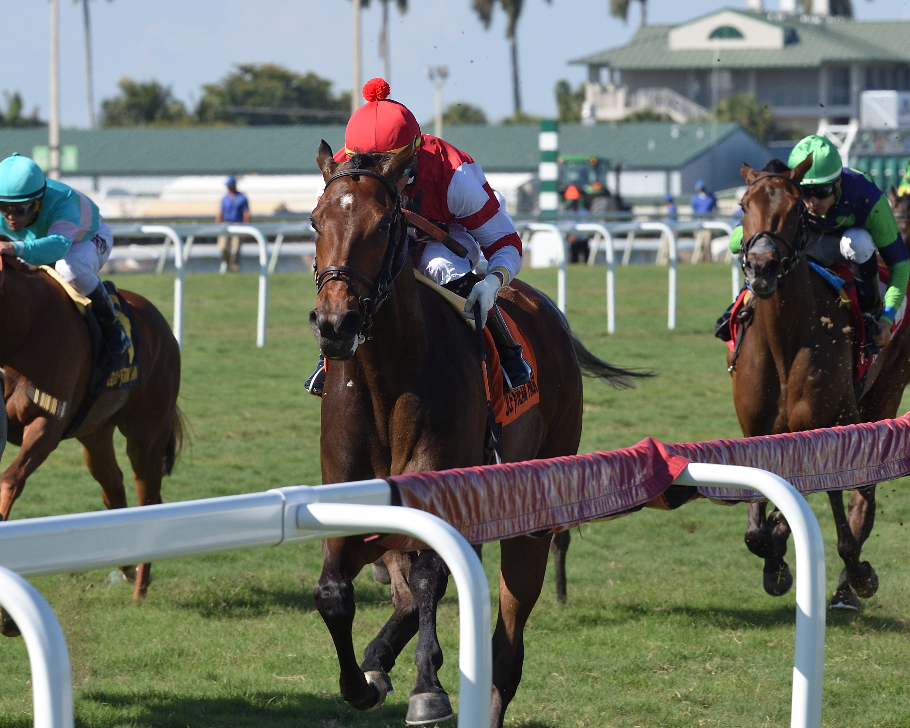 Cambier Parc wins the 2019 Herecomesthebride Stakes