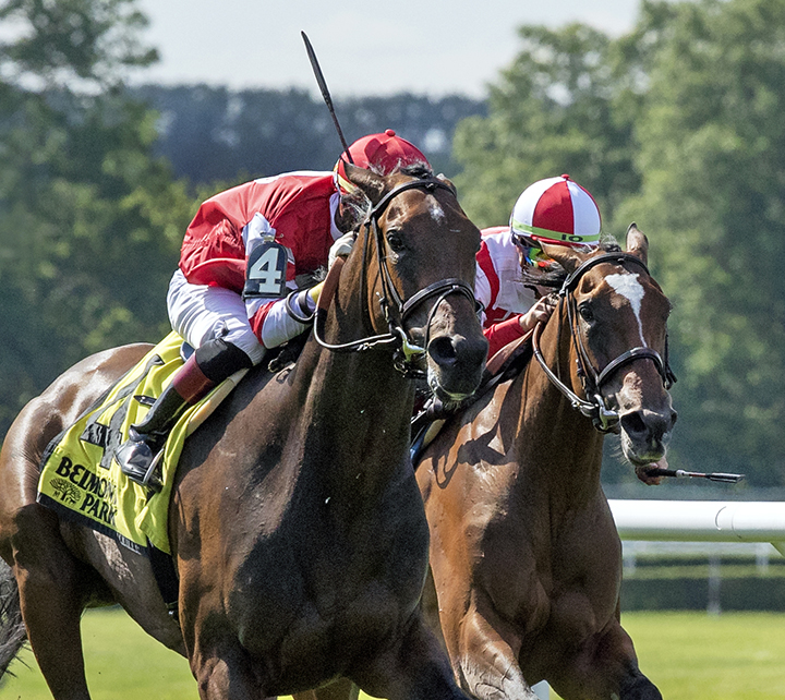 Cambier Parc wins the 2019 Wonder Again Stakes