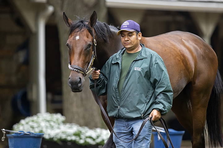 Cambier Parc at Saratoga Race Course on July 17
