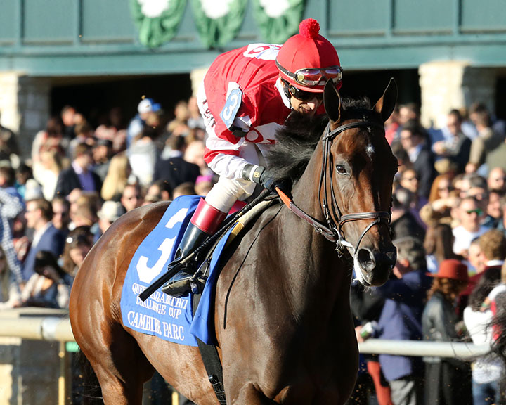 Cambier Parc comeback after winning the 2019 Queen Elizabeth II Cup at Keeneland