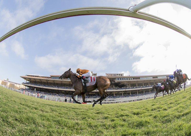 Cambodia wins the 2018 Yellow Ribbon Handicap