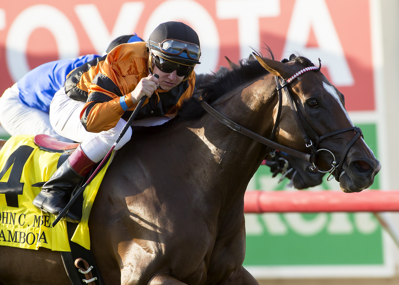 Cambodia wins the 2017 John Mabee Stakes