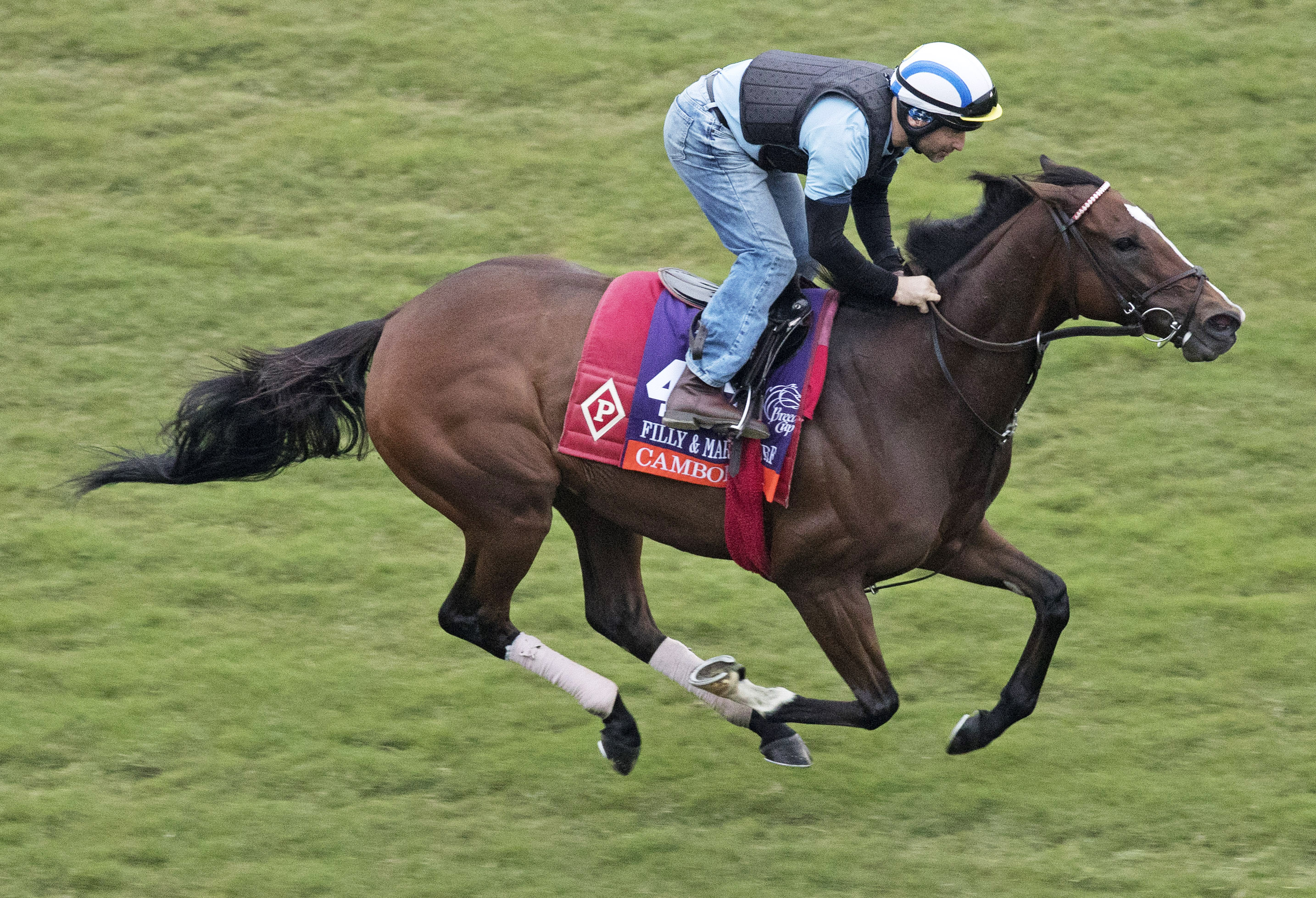 Cambodia trains at Del Mar on Oct. 29