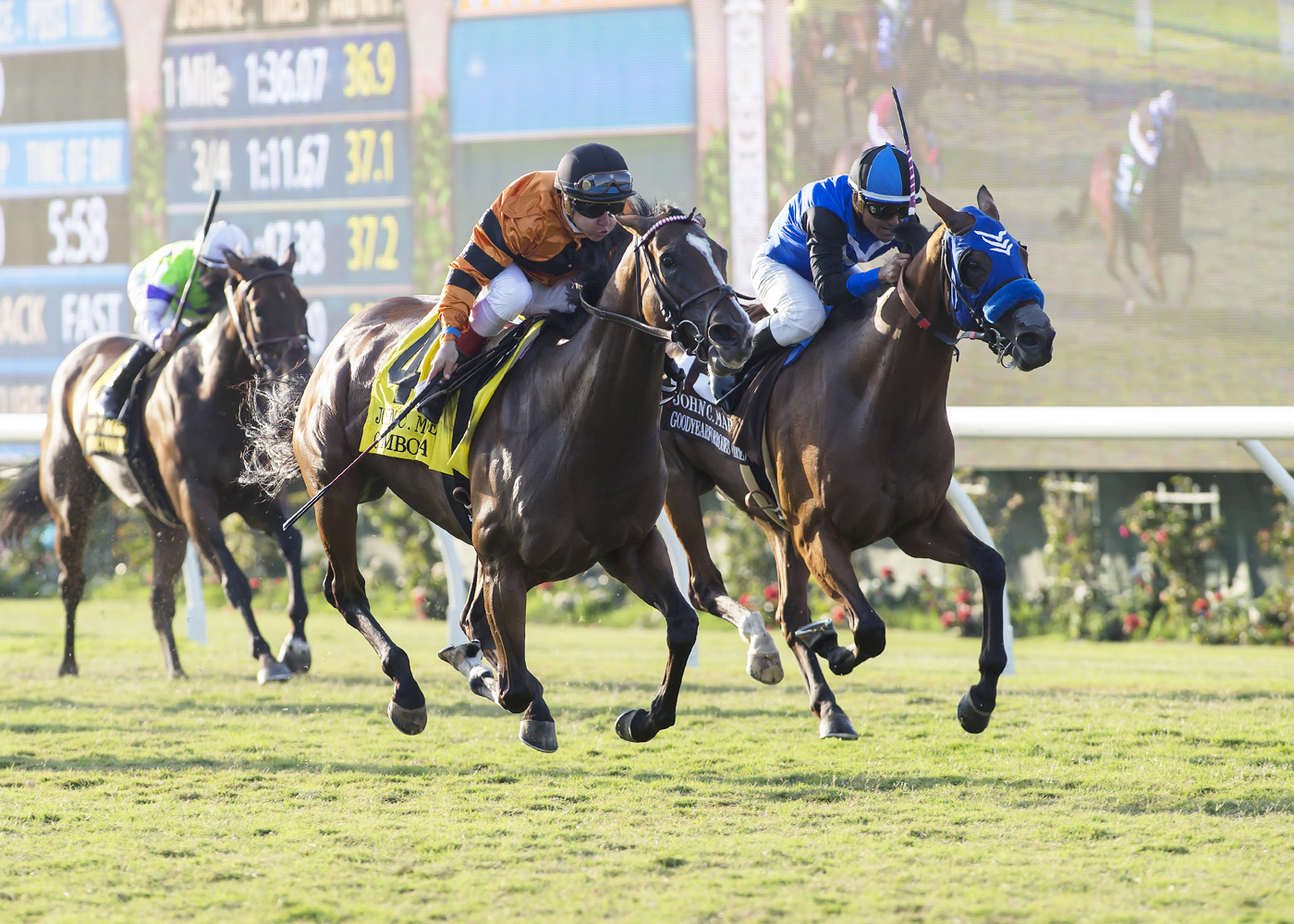 Goodyearforroses finishes second in the 2017 John C. Mabee Stakes