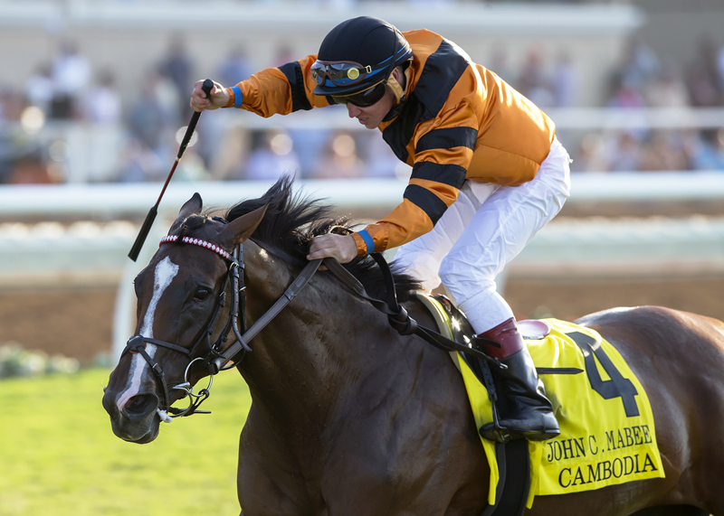 Cambodia wins the John Mabee Stakes at Del Mar 9.2.17
