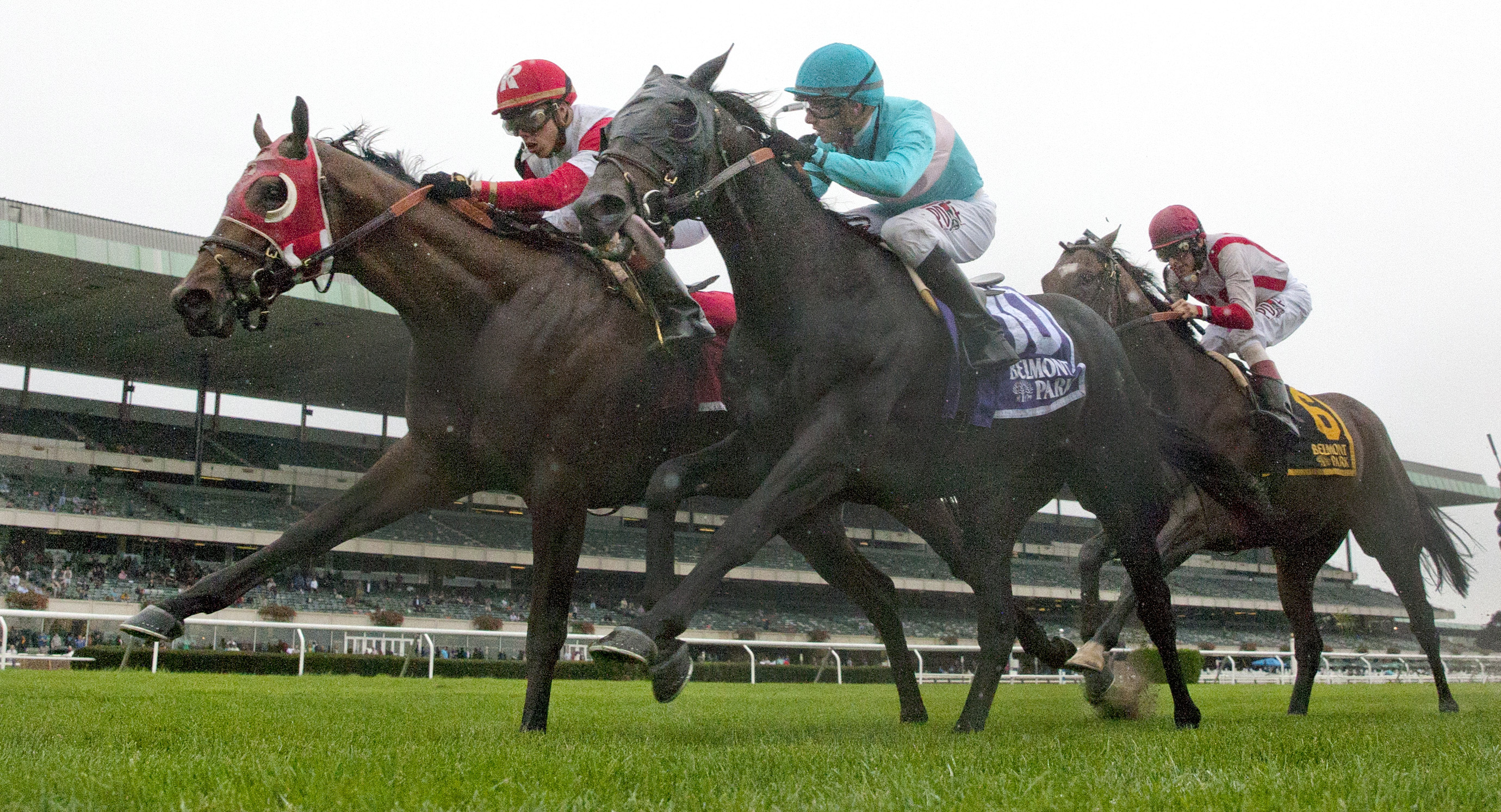 Beach Patrol finishes second in the Hill Prince Stakes