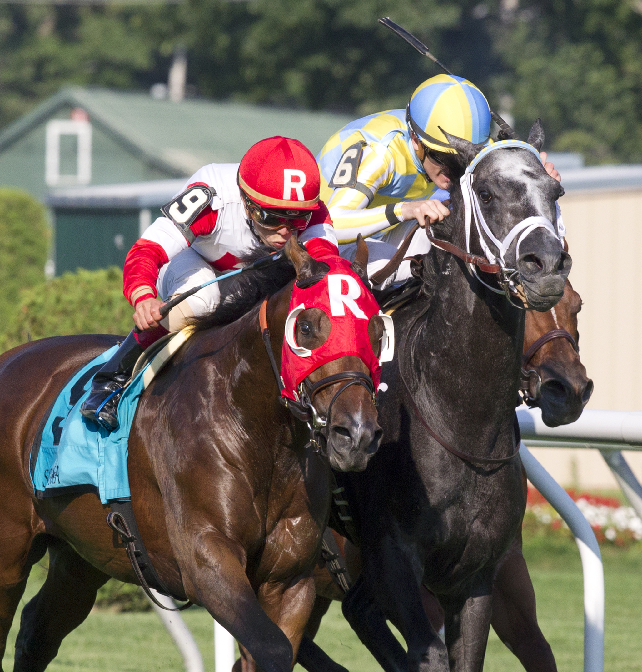 Camelot Kitten wins the Hall of Fame Stakes