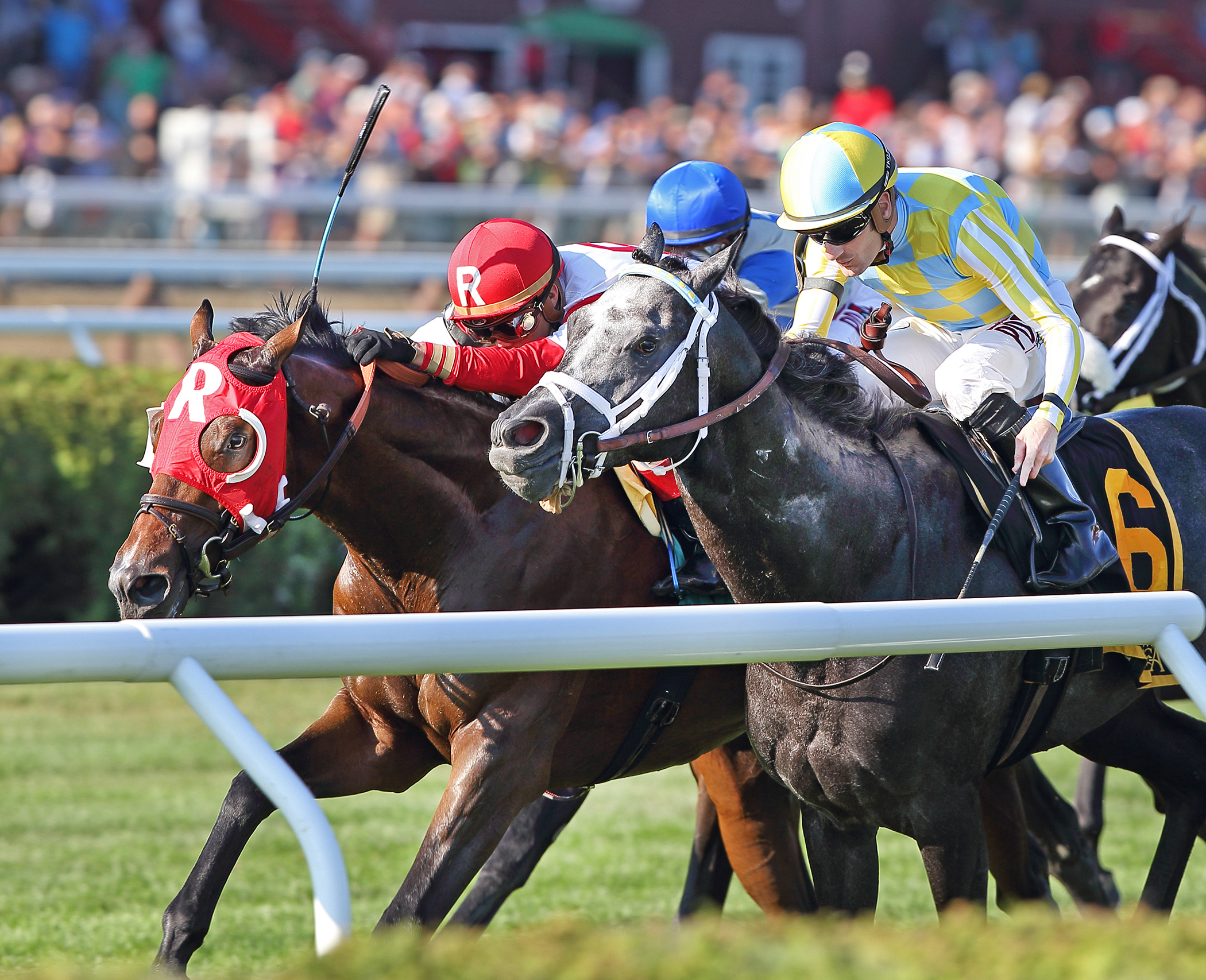 Airoforce finishes second in the Hall of Fame Stakes