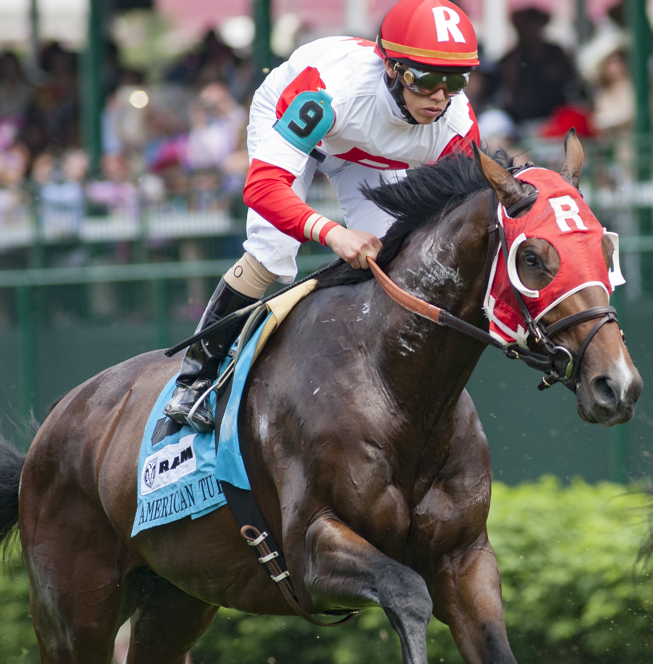 Camelot Kitten wins the American Turf