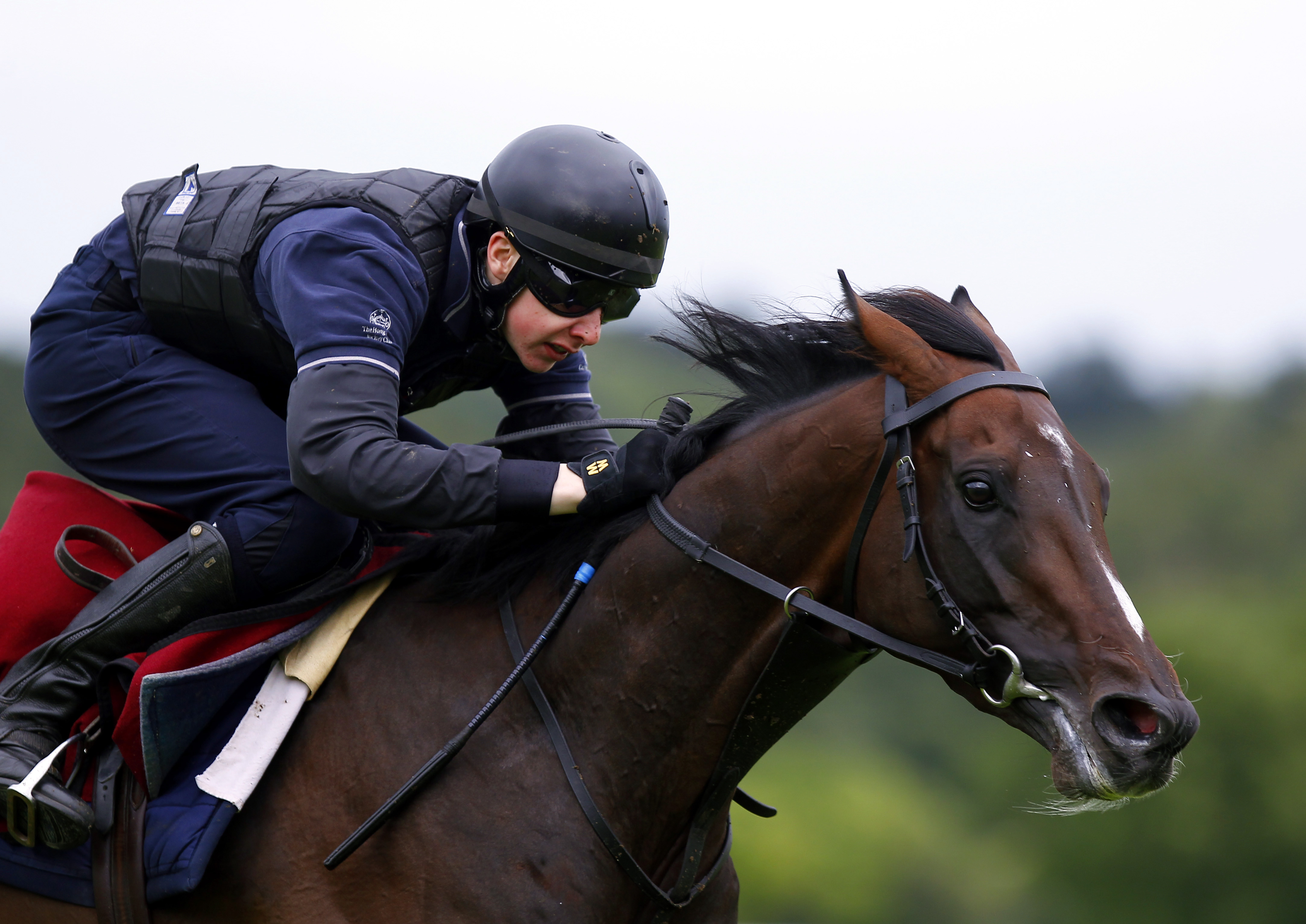 Hovdey: Camelot revives interest in English Triple Crown