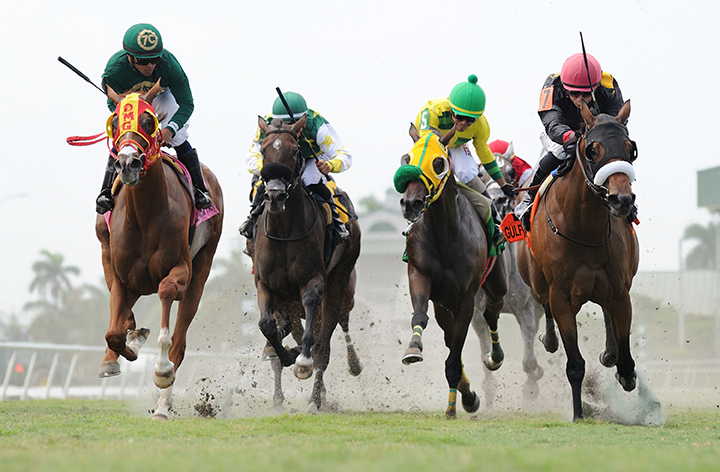 Midnight Soiree finishes second in the 2018 Martha Washington