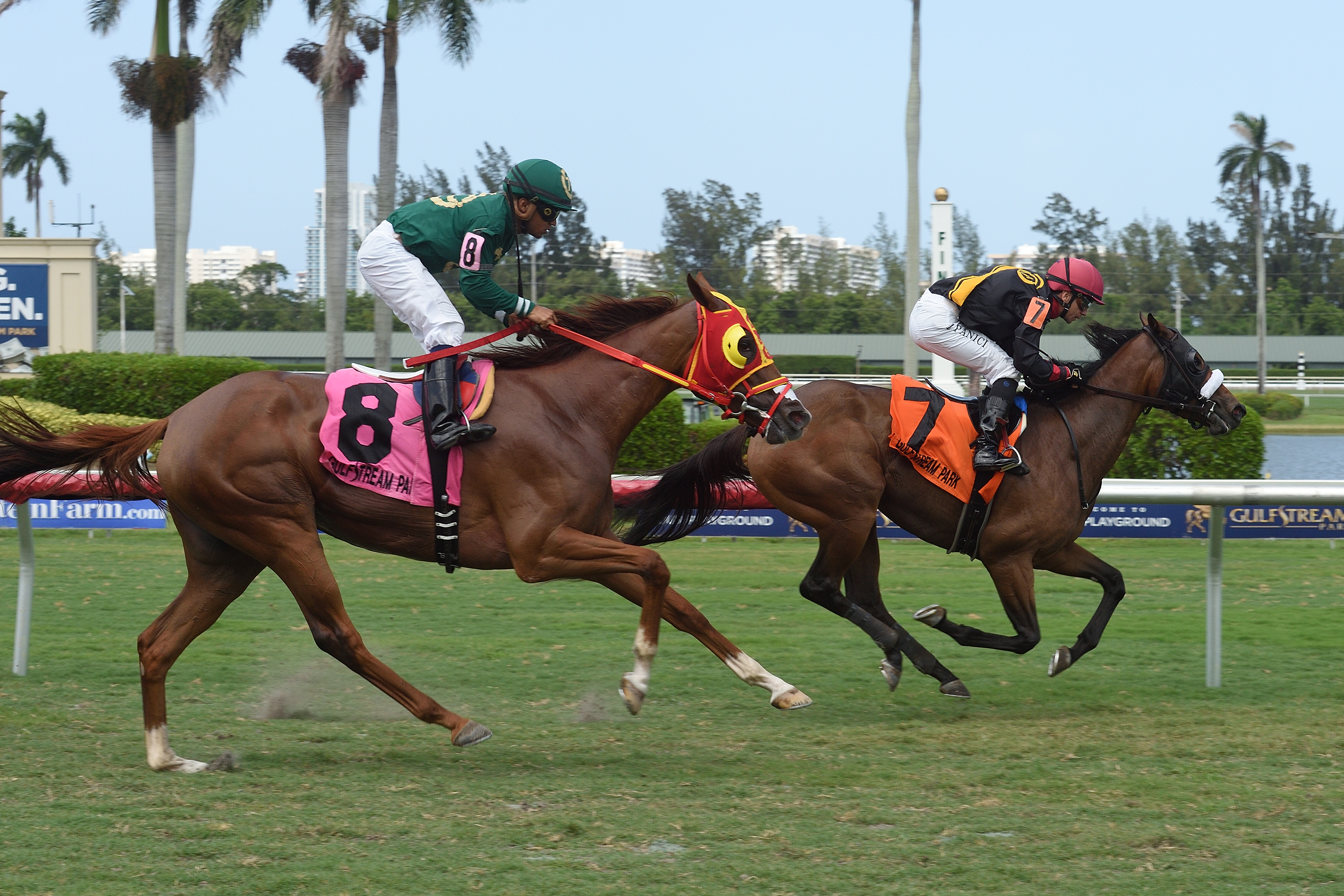 Midnight Soiree wins the Martha Washignton