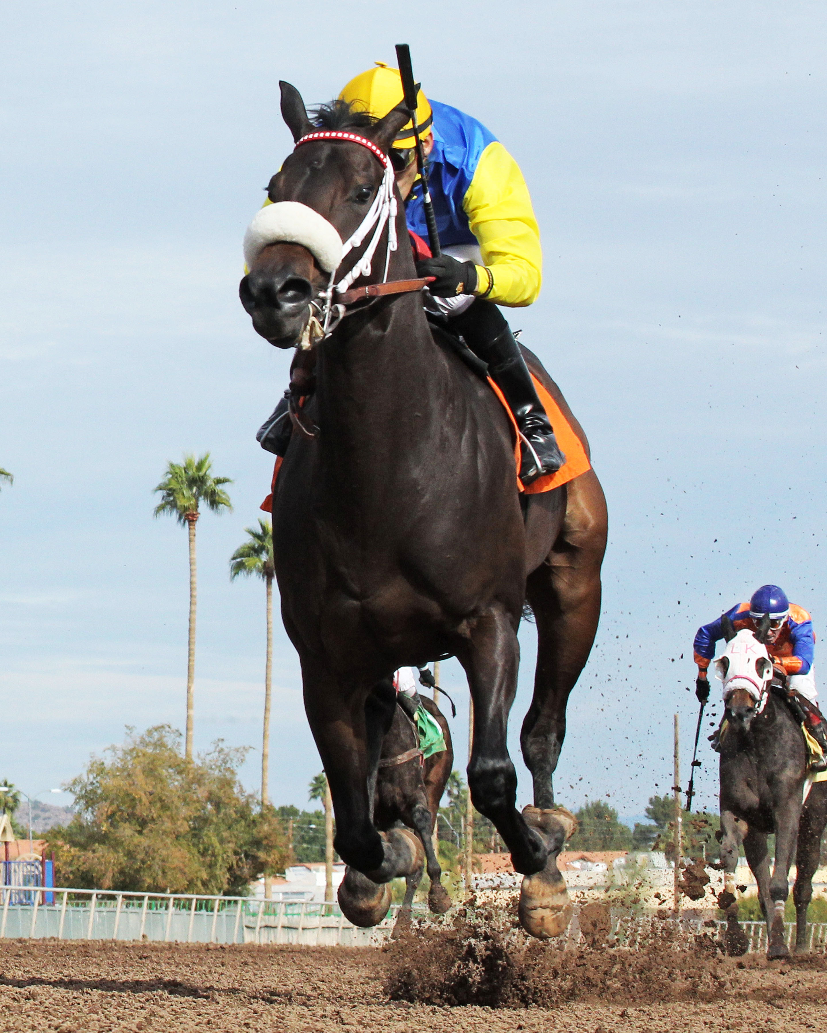 Camille wins the 2014 Cactus Flower Stakes