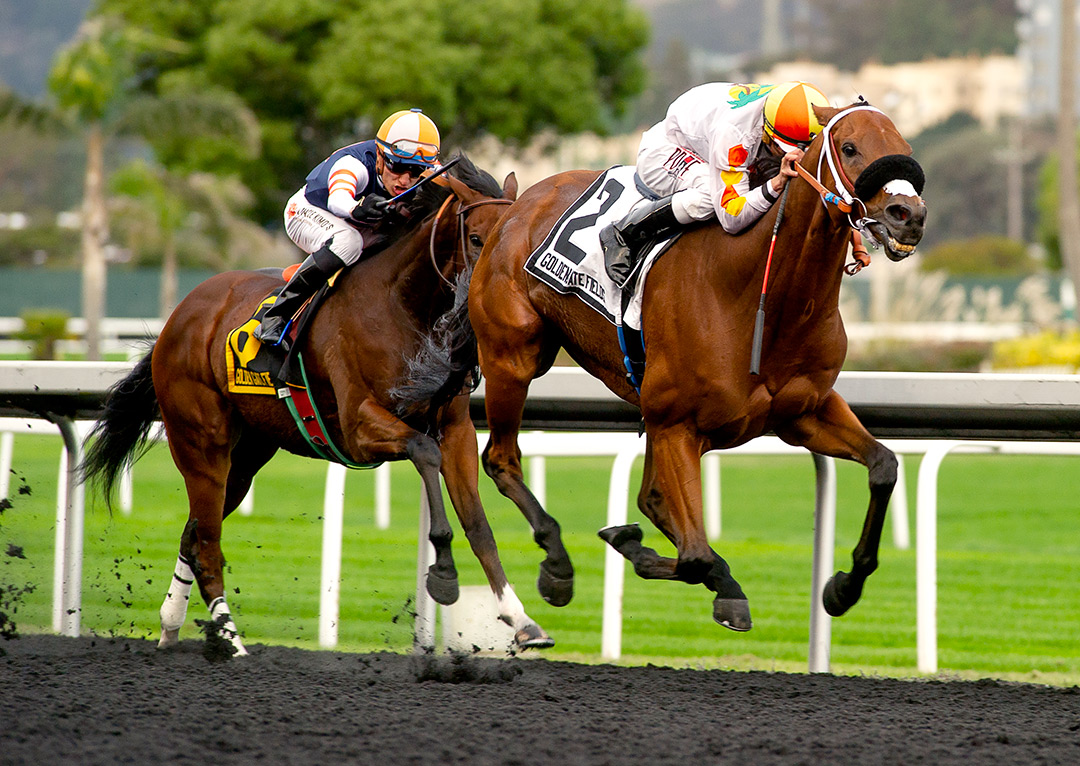 Camino Del Paraiso wins the 2021 Joseph T. Grace Stakes at Golden Gate Fields