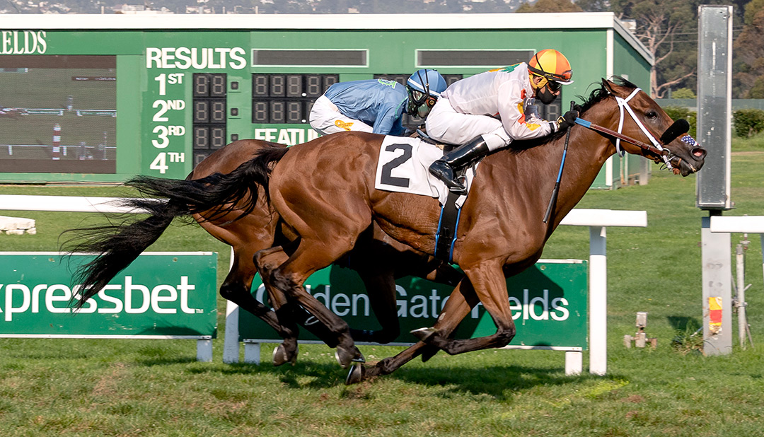 Camino Del Paraiso wins the 2020 Rolling Green Stakes at Golden Gate