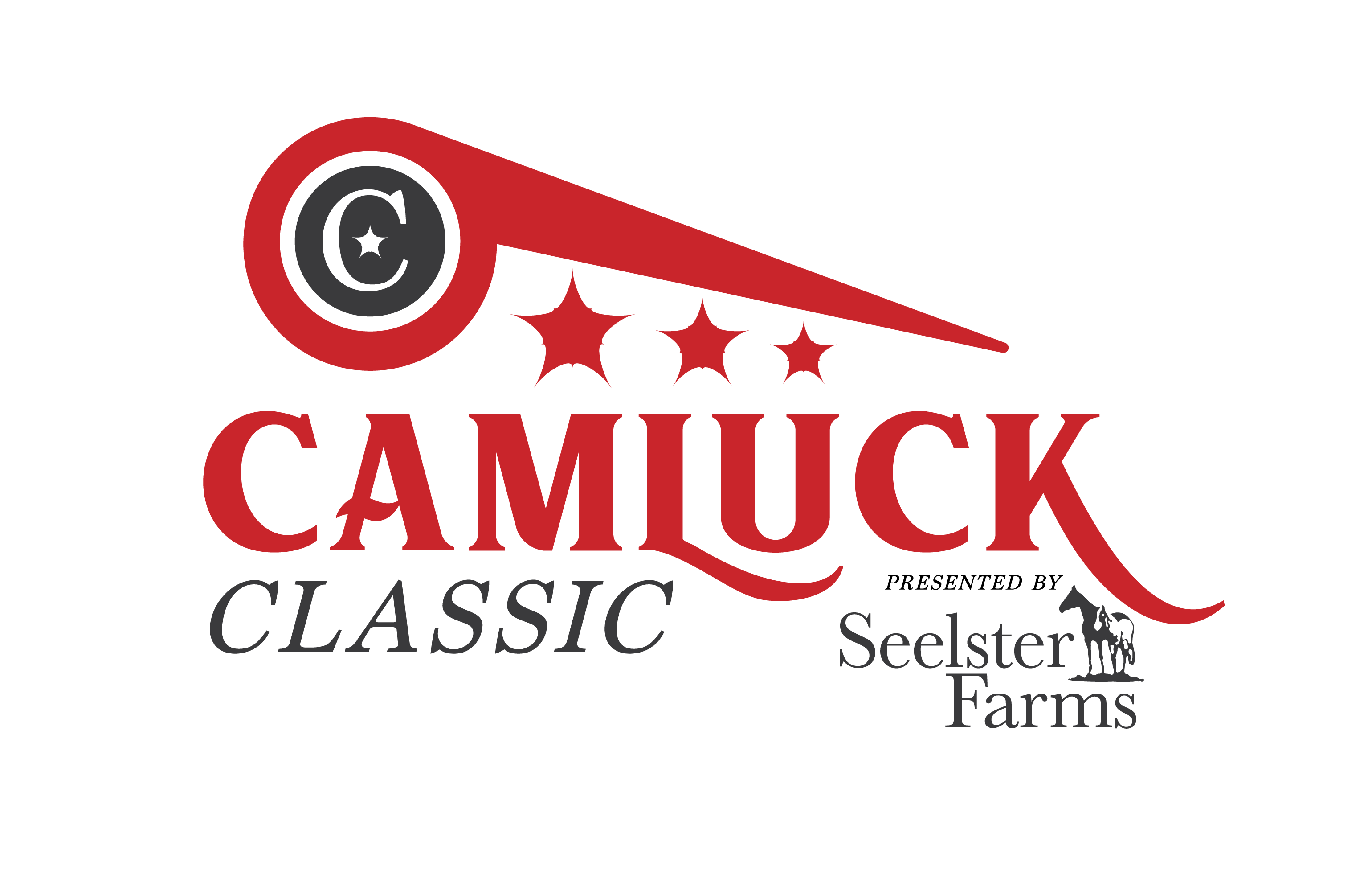 Camluck logo