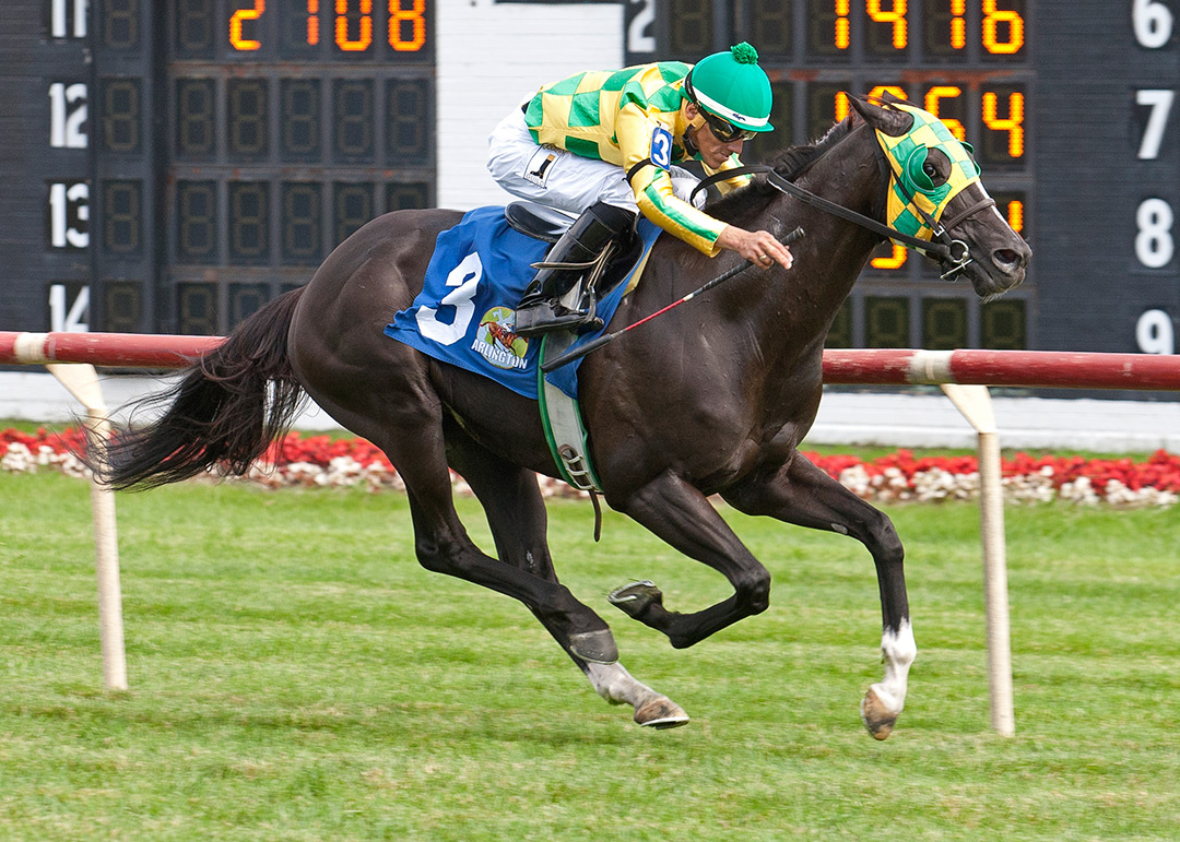 Cammack wins the 2016 Black Tie Affair at Arlington Park