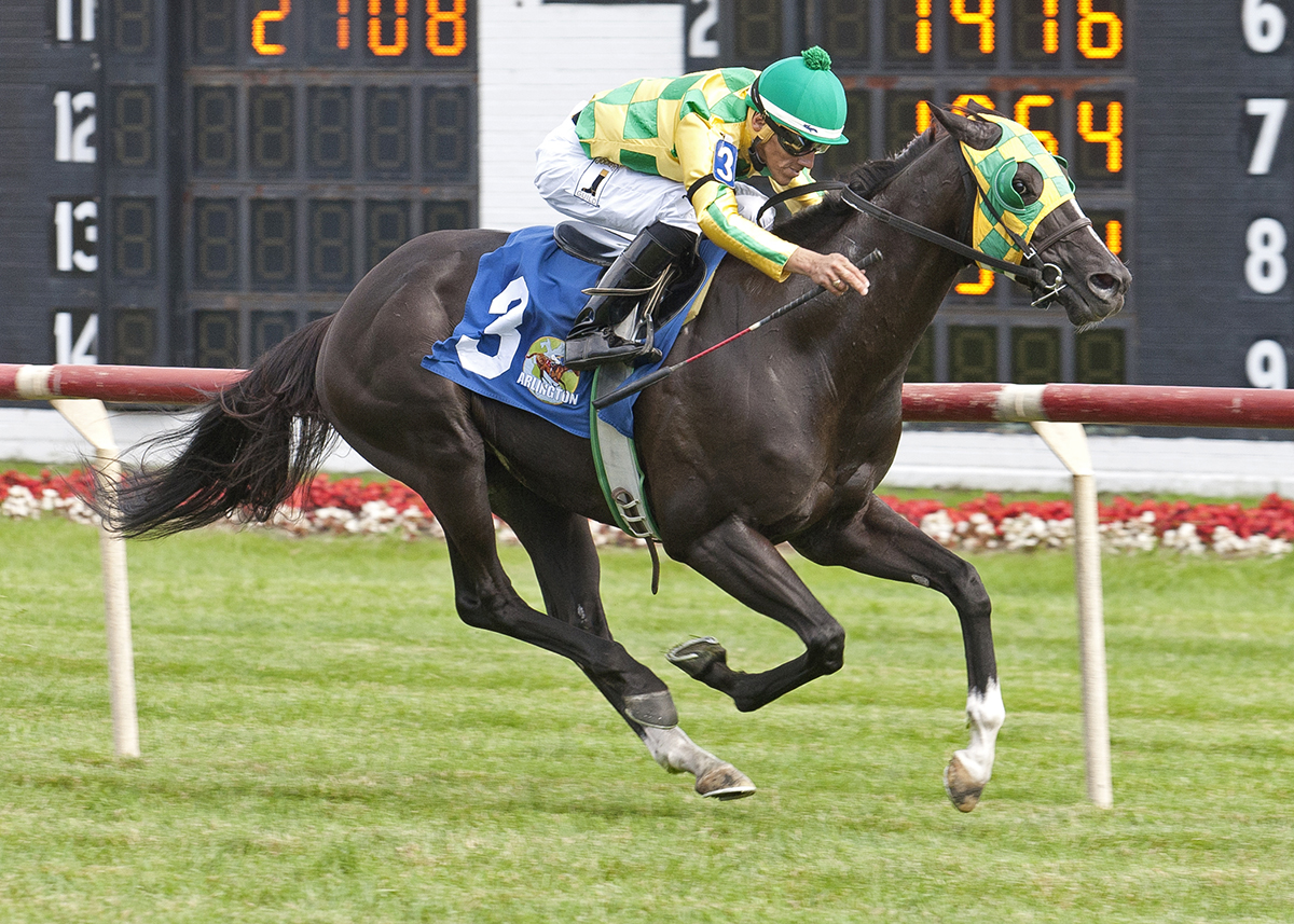 Cammack wins the 2016 Black Tie Affair