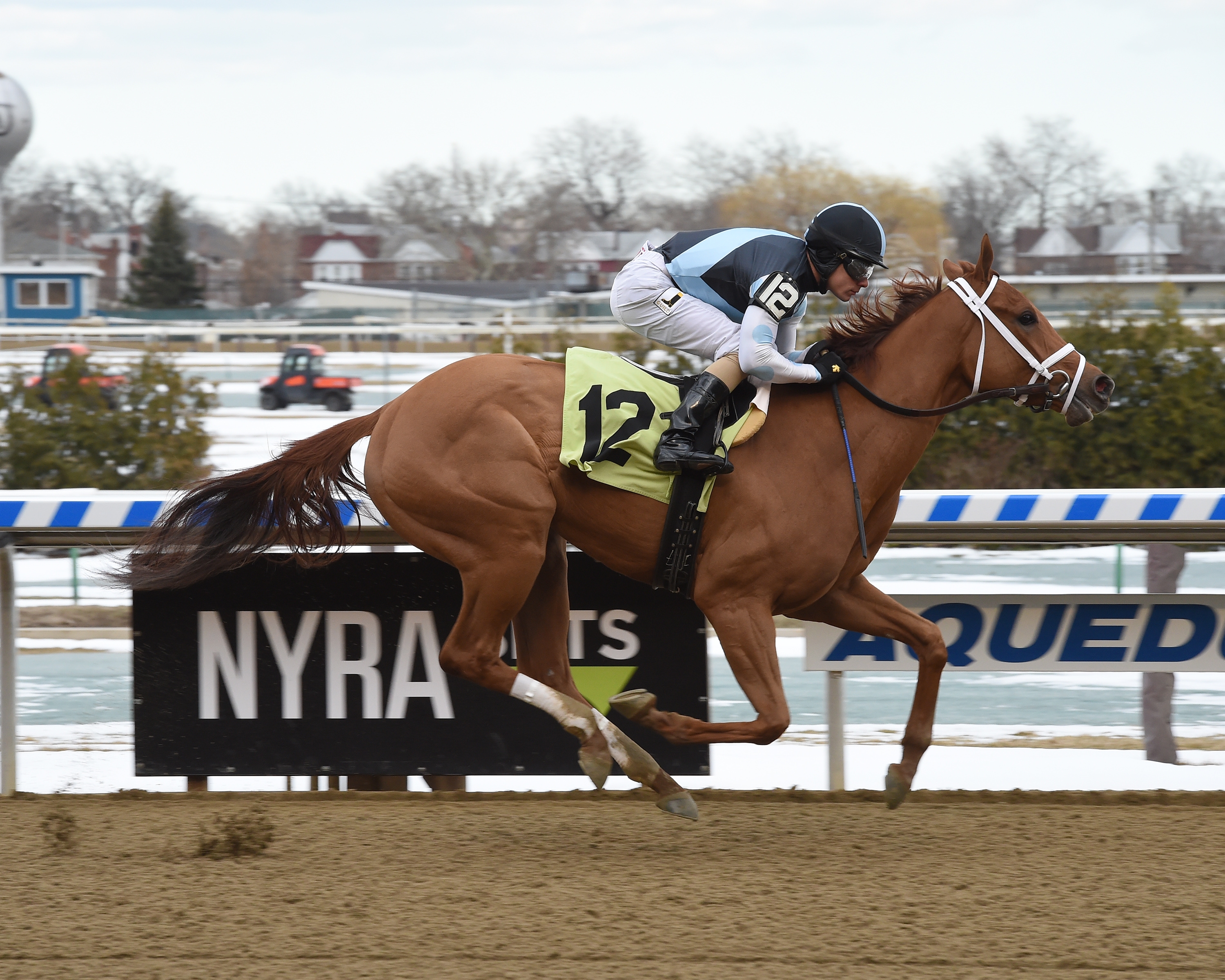 Camorra wins a maiden race at Aqueduct on March 23, 2018