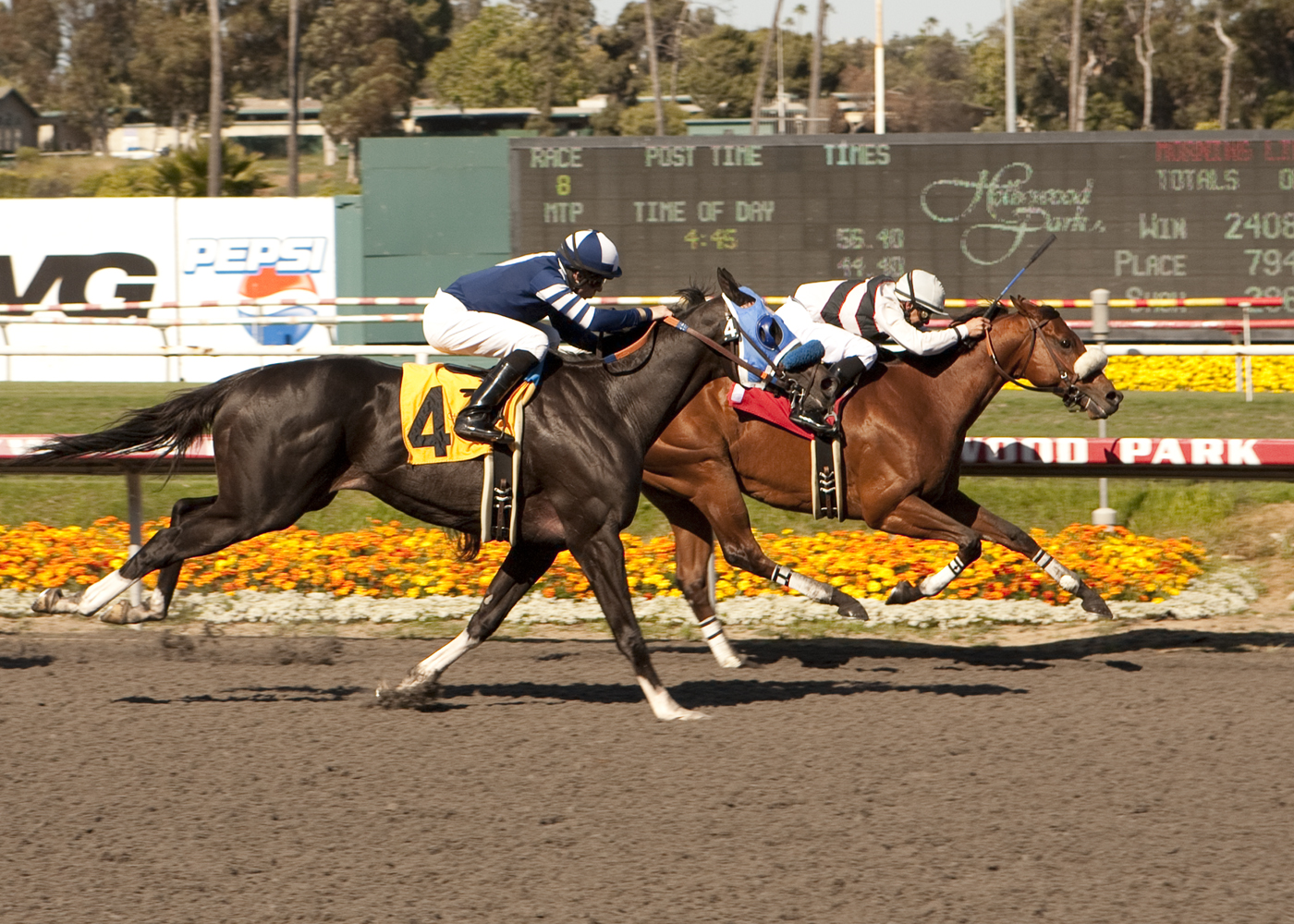 Amazombie/Los Angeles Handicap