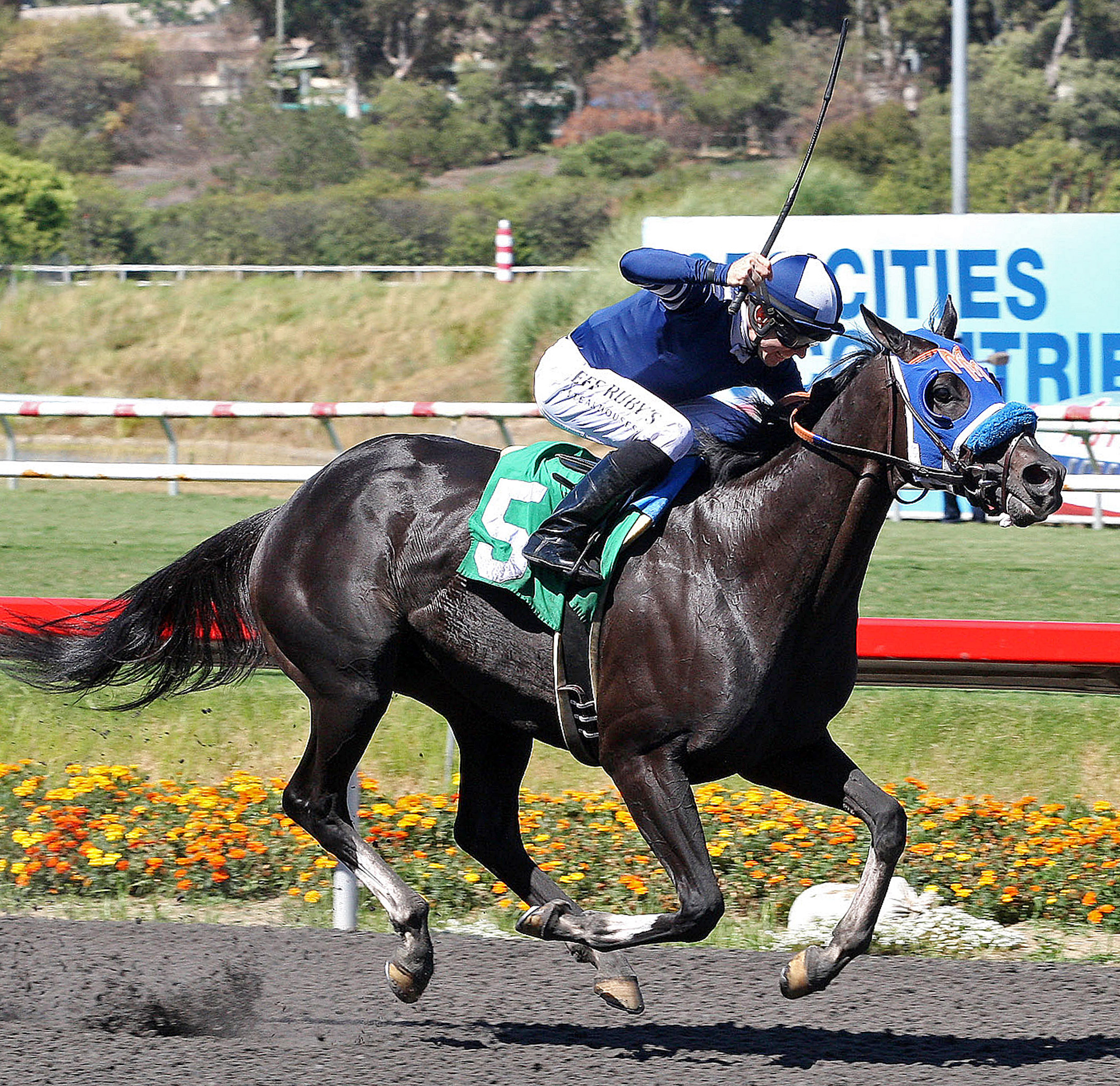 Camp Victory/Triple Bend Handicap