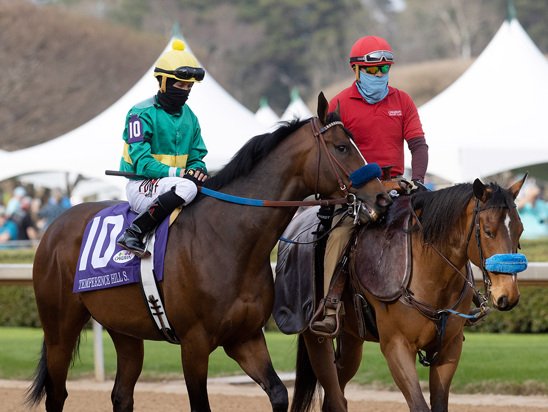 Campaign at the Temperence Hill Stakes at Oaklawn Park