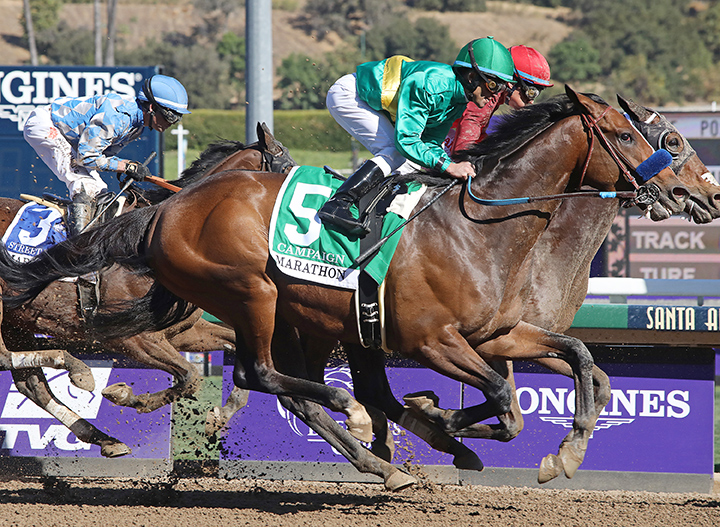 Campaign finishes sixth in the 2020 Marathon Stakes at Santa Anita Park
