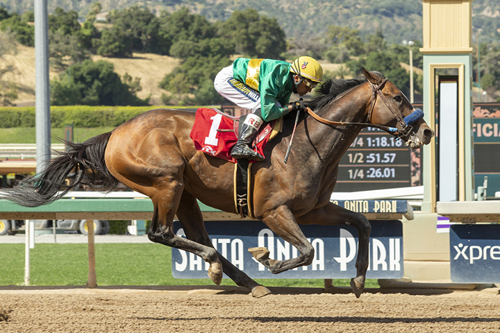 Campaign wins the Tokyo City Cup