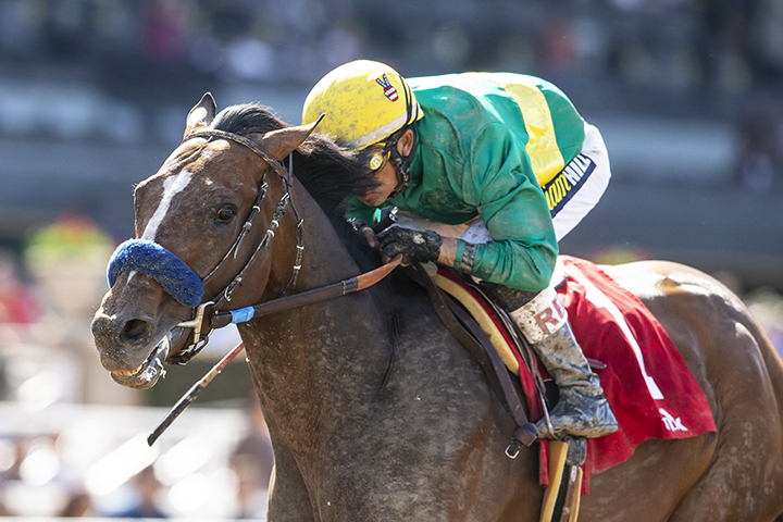 Campaign wins the Tokyo City Cup