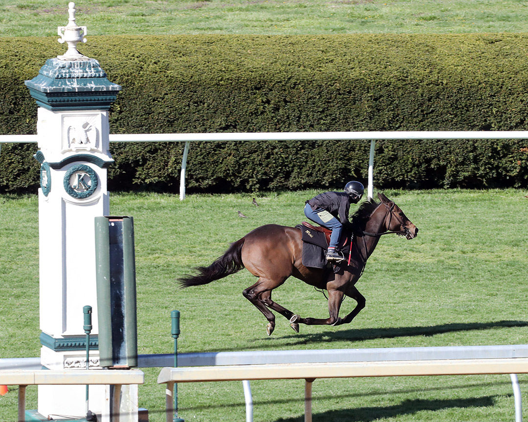 Campanelle trains at Keeneland on April 10