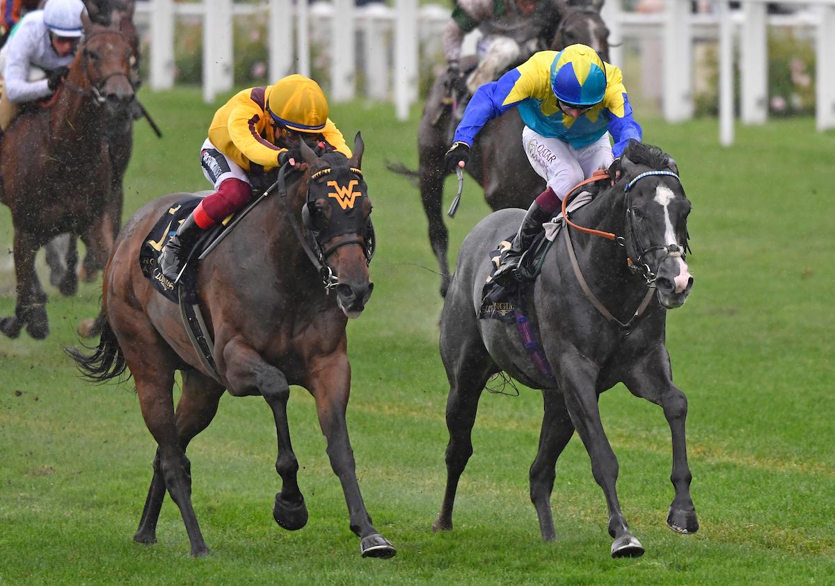 Campanelle - Commonwealth Cup 2021