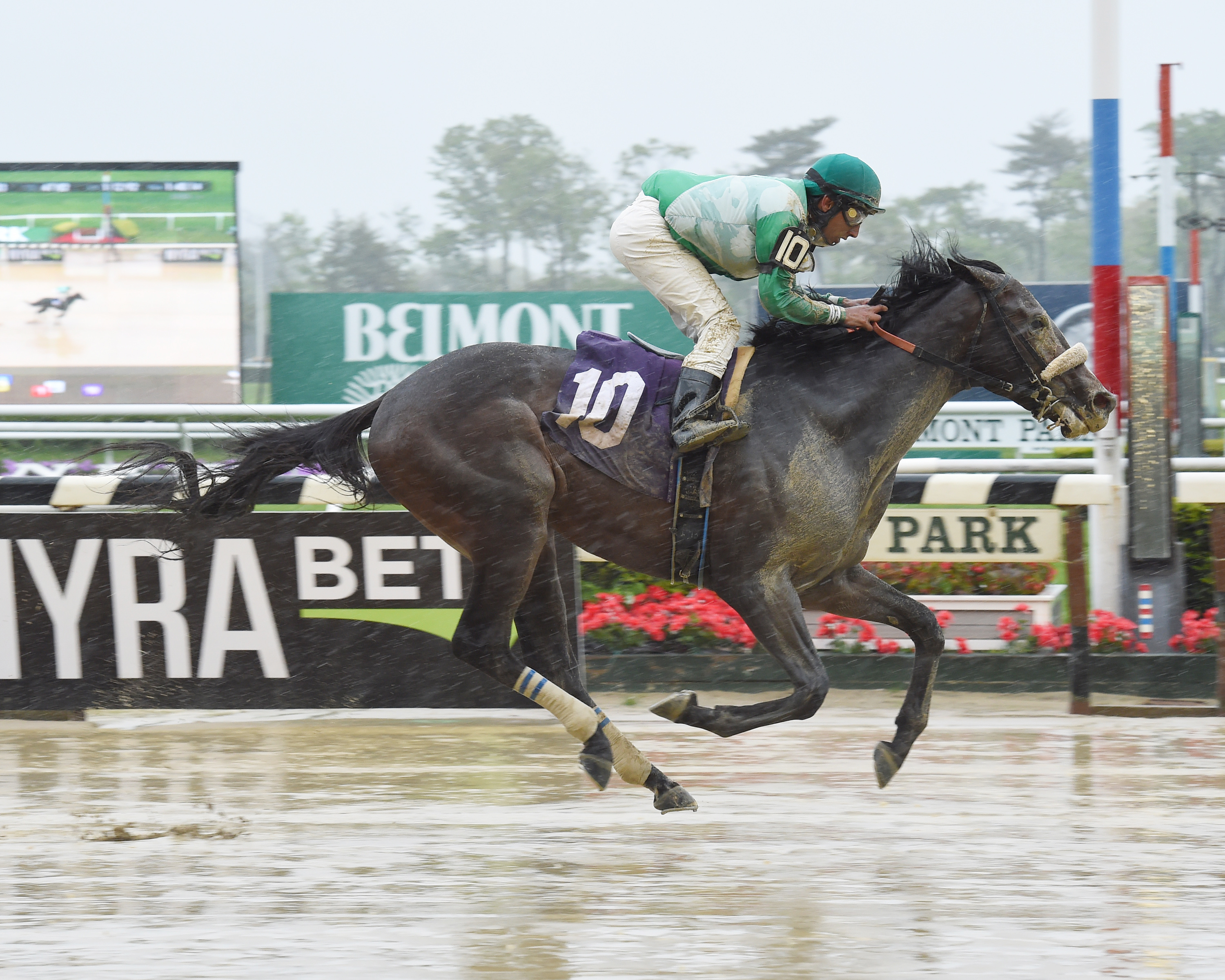 Can You Diggit wins a May 13 allowance race